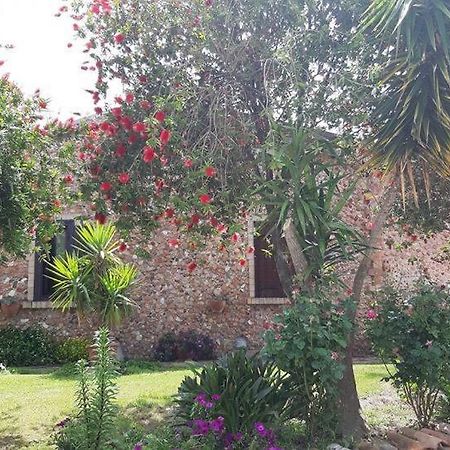 Agriturismo Pingitore Luzzi Bagian luar foto