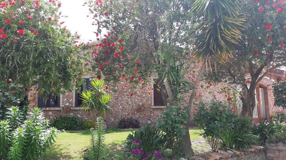 Agriturismo Pingitore Luzzi Bagian luar foto
