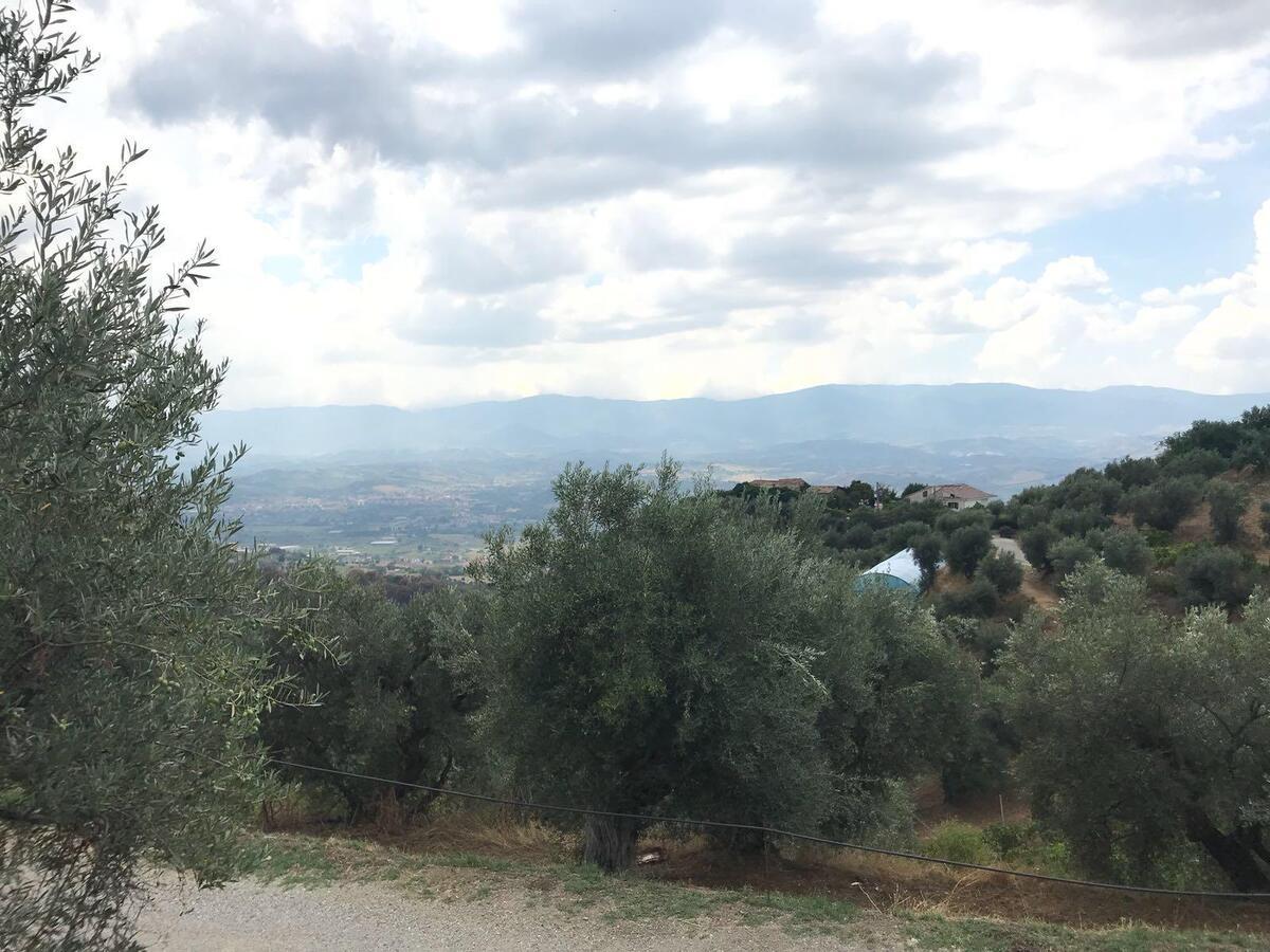Agriturismo Pingitore Luzzi Bagian luar foto