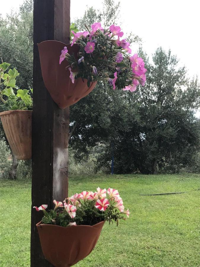 Agriturismo Pingitore Luzzi Bagian luar foto