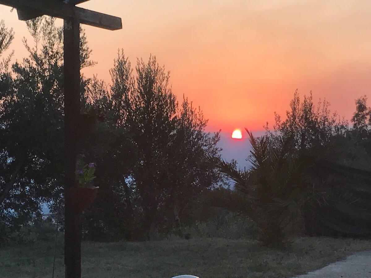 Agriturismo Pingitore Luzzi Bagian luar foto