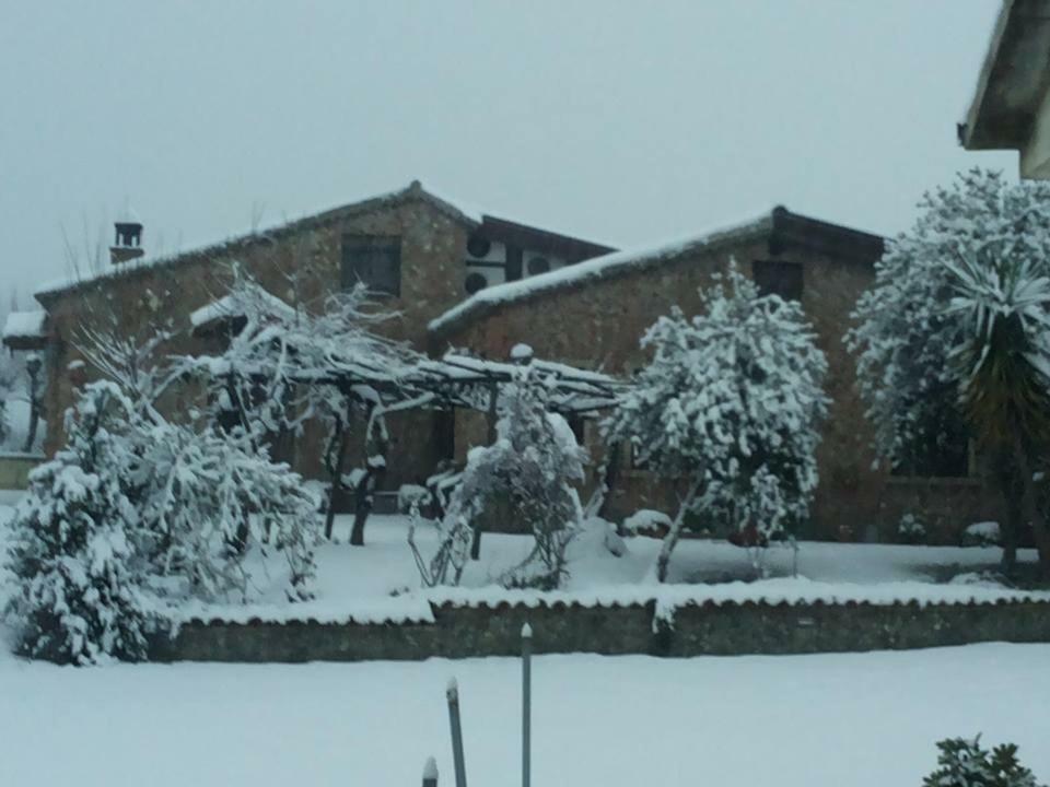 Agriturismo Pingitore Luzzi Bagian luar foto
